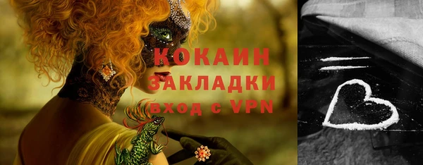 спайс Бородино