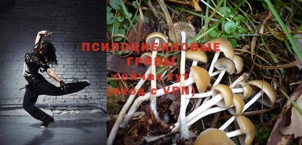 apvp Бронницы