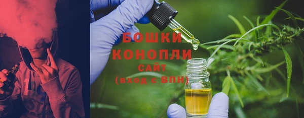 спайс Бородино