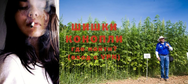 молекула духа Бугульма