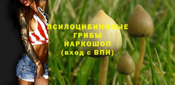 молекула духа Бугульма