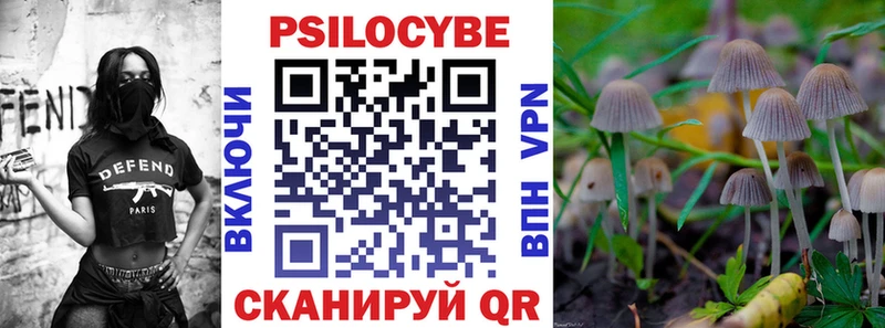 маркетплейс клад  Дзержинский  Псилоцибиновые грибы мухоморы 